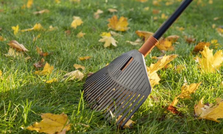 4 омских субботника с особым смыслом: деревянное зодчество, хоспис, интернат и центр адаптации детей