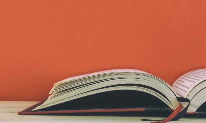 Омичи стали финалистами программы «Послы русского языка в мире»