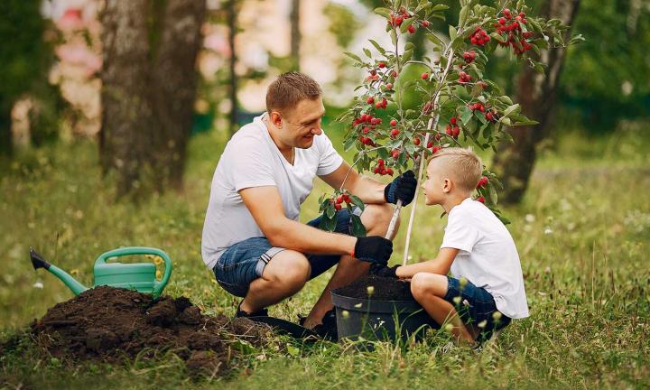 Омская МЕГА обменяет вторсырье на саженцы 