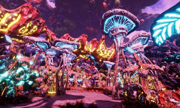 Омичка вместе с командой разрабатывает виртуальную игровую метавселенную