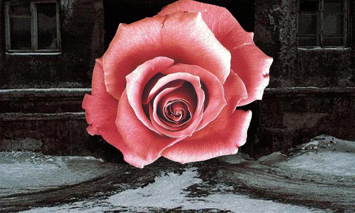 Омичи станут свидетелями яркой творческой коллаборации 