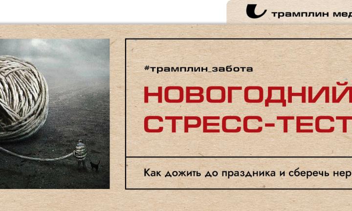 Новогодний стресс-тест. Как дожить до праздника и сберечь нервы?