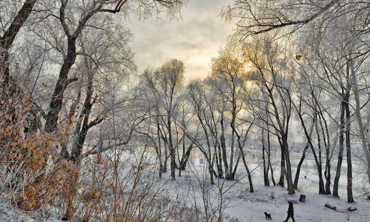 Как развиваются события вокруг «Зелёного острова»