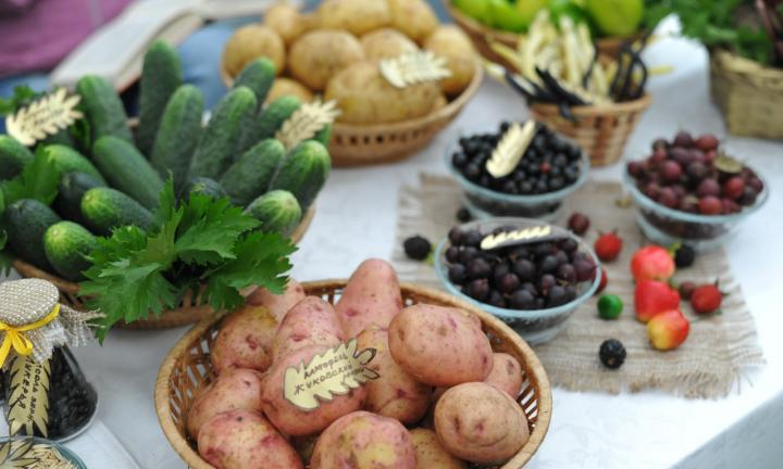 Верблюды, мёд и огромное мороженое: в парке «На Королёва» пройдёт выставка-ярмарка «АгроОмск-2022»